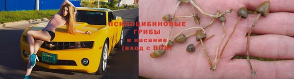 jwh Абинск