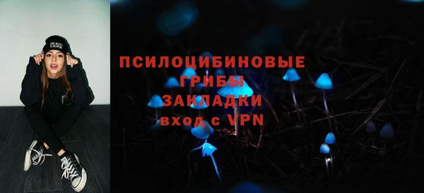 амф Абдулино