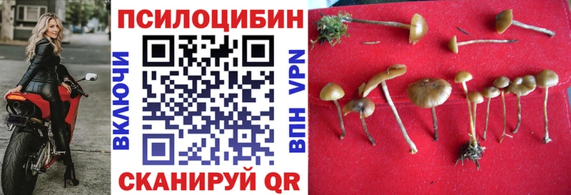 наркошоп блэк спрут маркетплейс Галлюциногенные грибы MAGIC MUSHROOMS Щёлкино